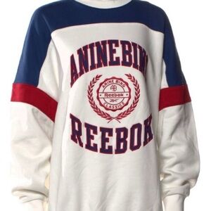 Anine Bing White and Blue Sweater
